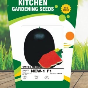 Watermelon-New 1 F1
