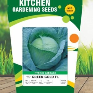 Cabbage- Green Gold F1
