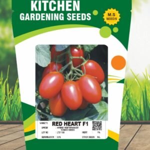 Tomato- Red Heart F1