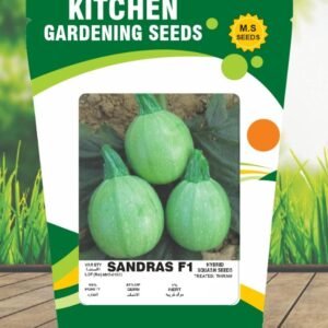 Round Squash- Sandras F1