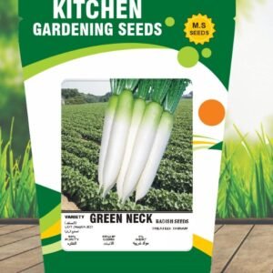 Green Neck