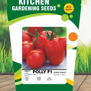 Tomato- Polly F1