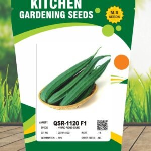 Ridge Gourd- QSR-1120 F1