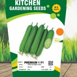 Cucumber - Premium 1 F1