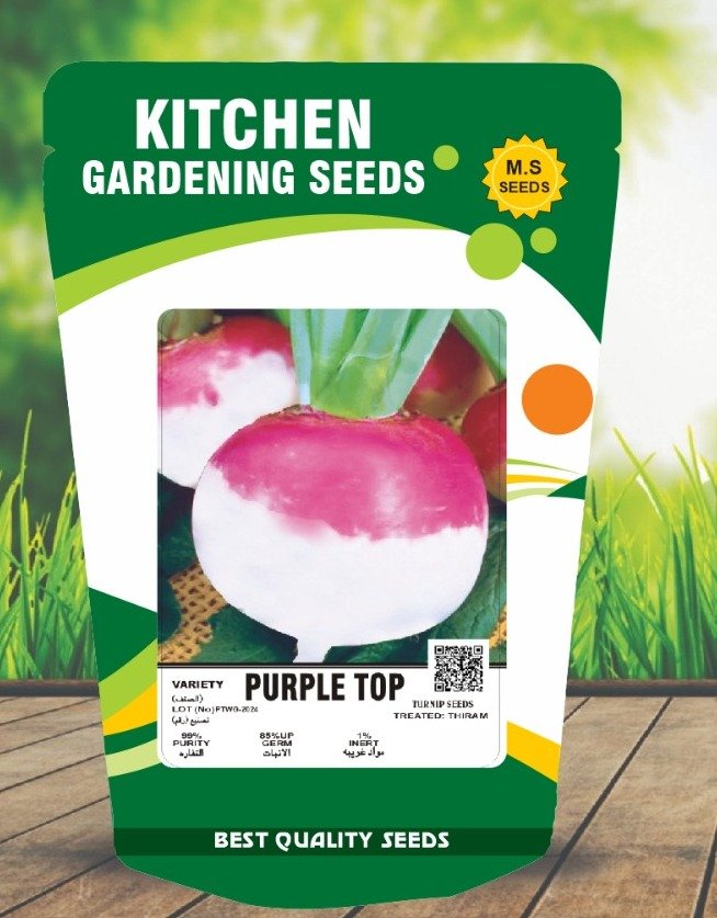 Turnip- Purple Top