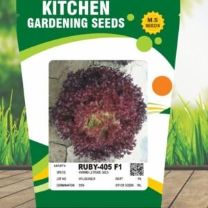 Red Lettuce-Ruby-405 F1
