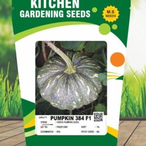 Pumpkin- 384 F1