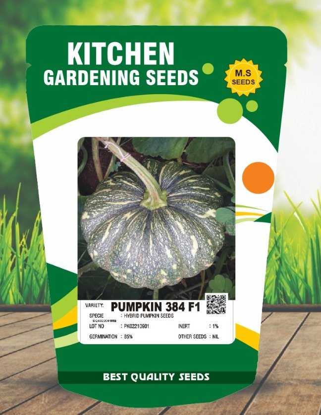 Pumpkin- 384 F1
