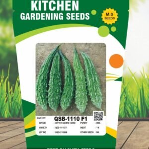 Bitter Gourd- QBS-101 F1