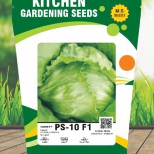 Iceberg- PS- 10 F1